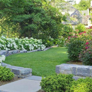 供甘肅武威園林綠化和張掖園林景觀(guān)